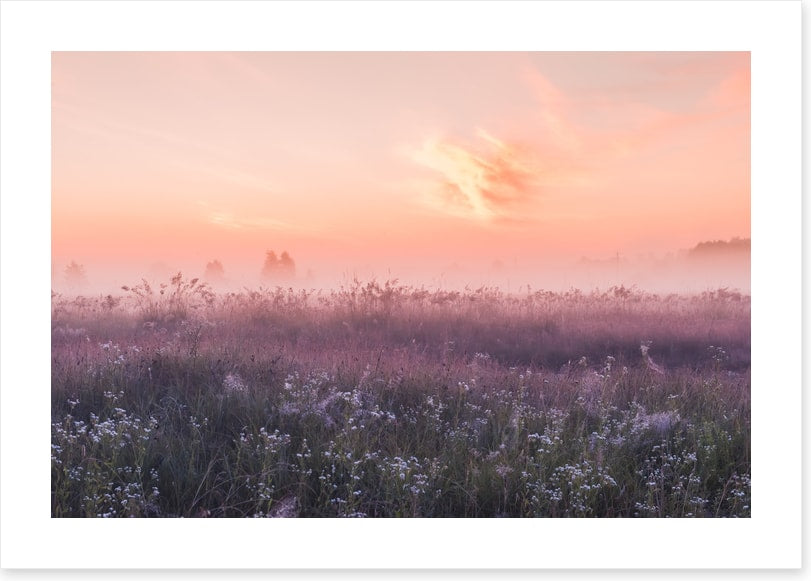 Good morning meadow