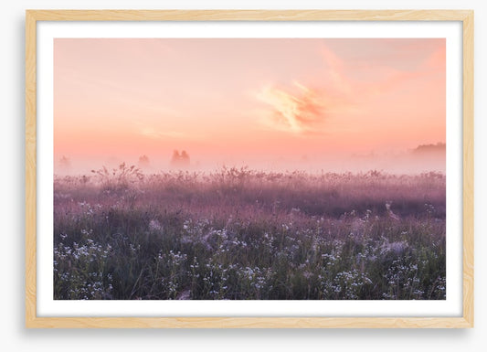 Good morning meadow
