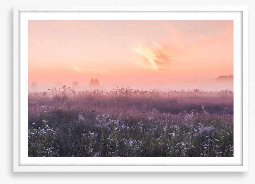 Good morning meadow