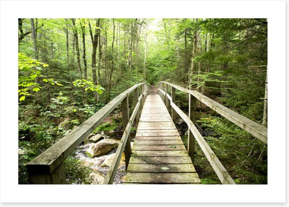 Footbridge to the forest