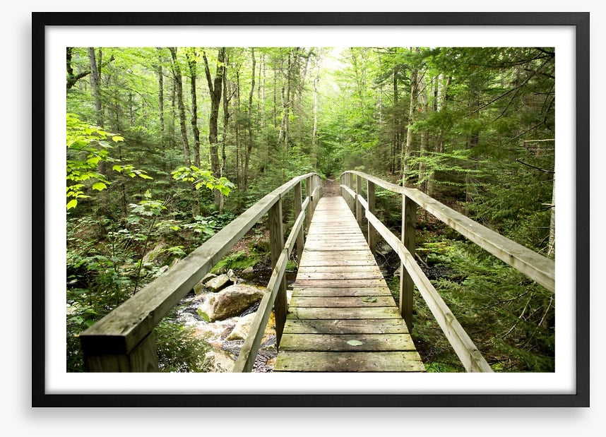 Footbridge to the forest