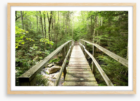 Footbridge to the forest