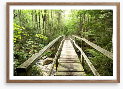 Footbridge to the forest