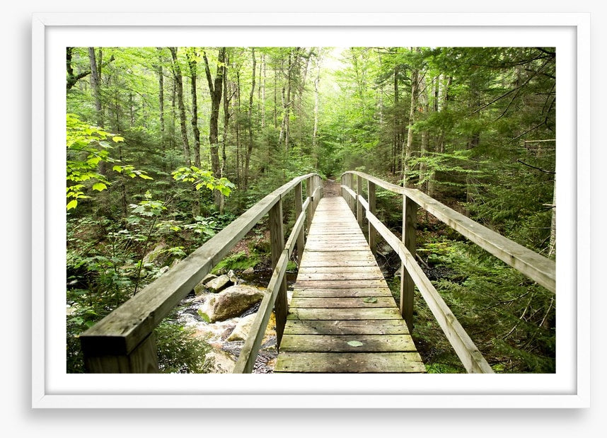 Footbridge to the forest