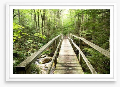 Footbridge to the forest