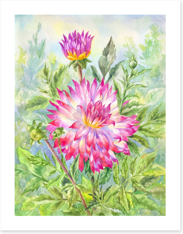 Wild dahlia