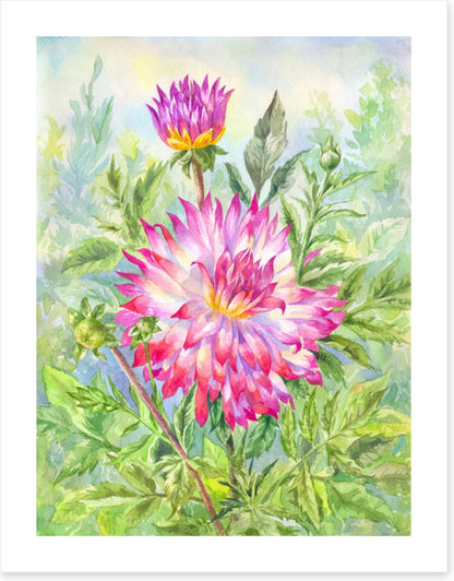 Wild dahlia