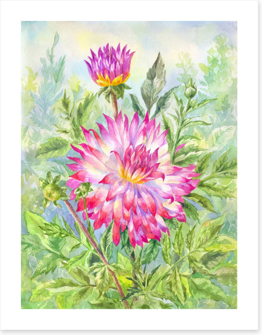 Wild dahlia