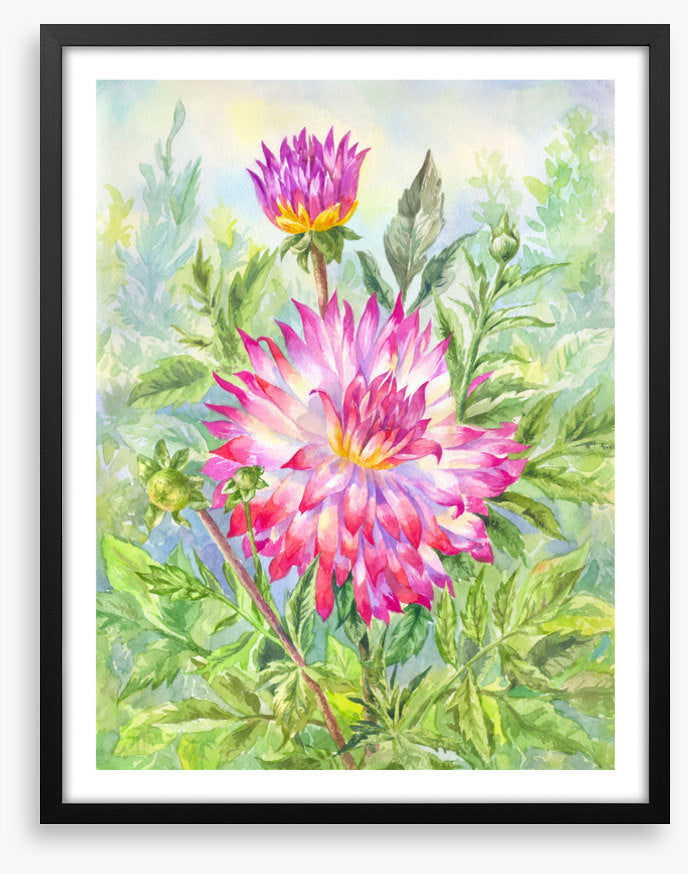 Wild dahlia