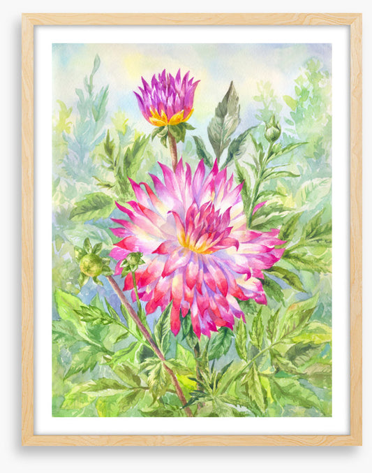 Wild dahlia