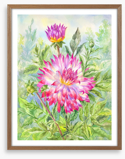 Wild dahlia