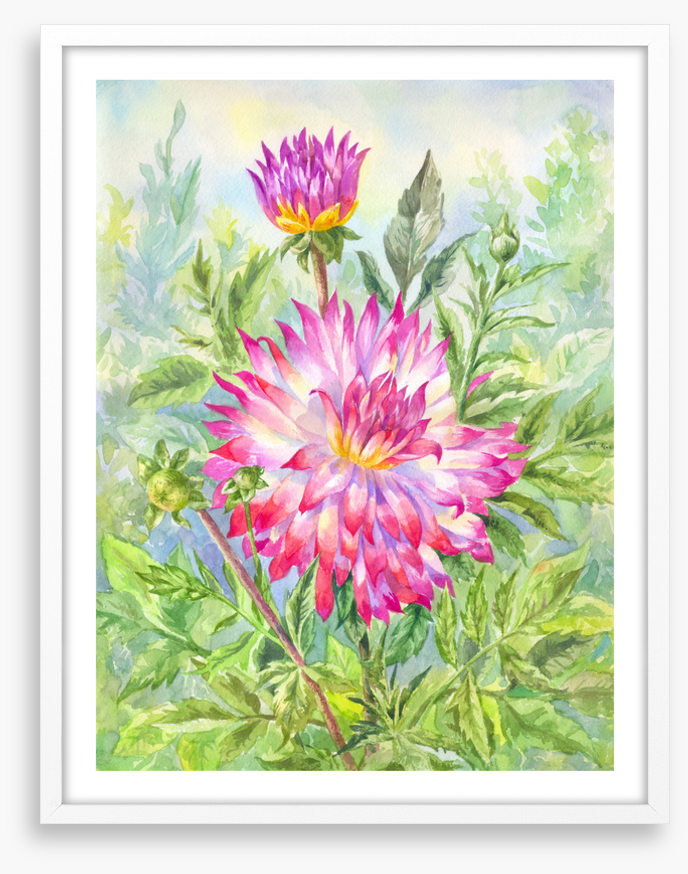Wild dahlia