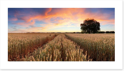 Agriculture