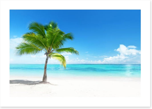 One palm beach