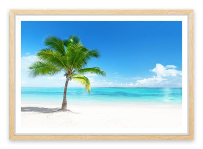 One palm beach