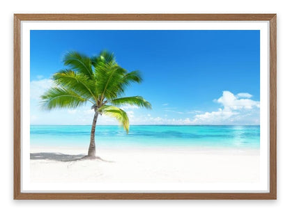 One palm beach