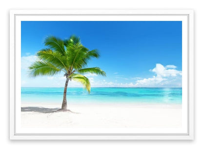 One palm beach