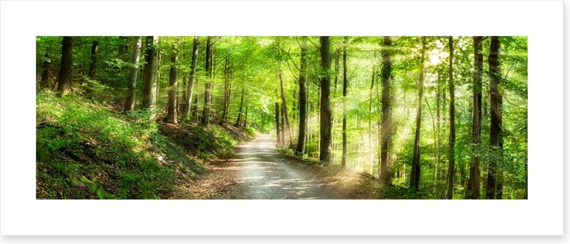 Sun ray road