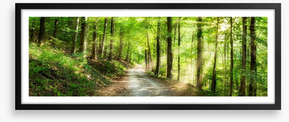 Sun ray road