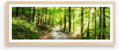Sun ray road