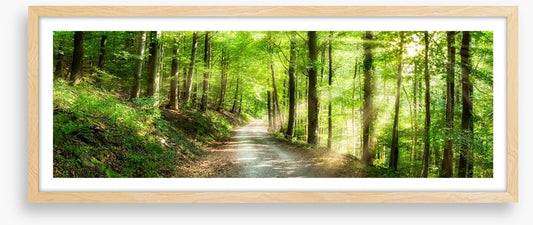 Sun ray road
