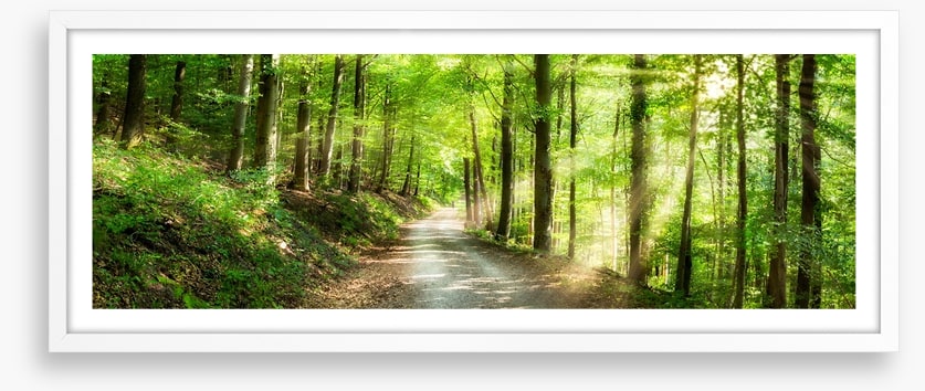 Sun ray road