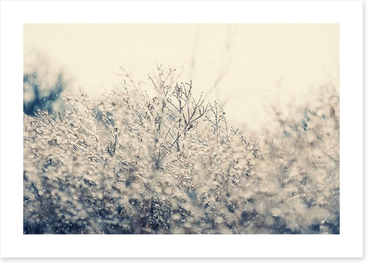 Touch of winter