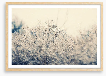 Touch of winter