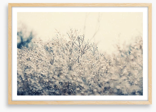 Touch of winter