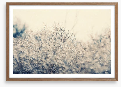 Touch of winter