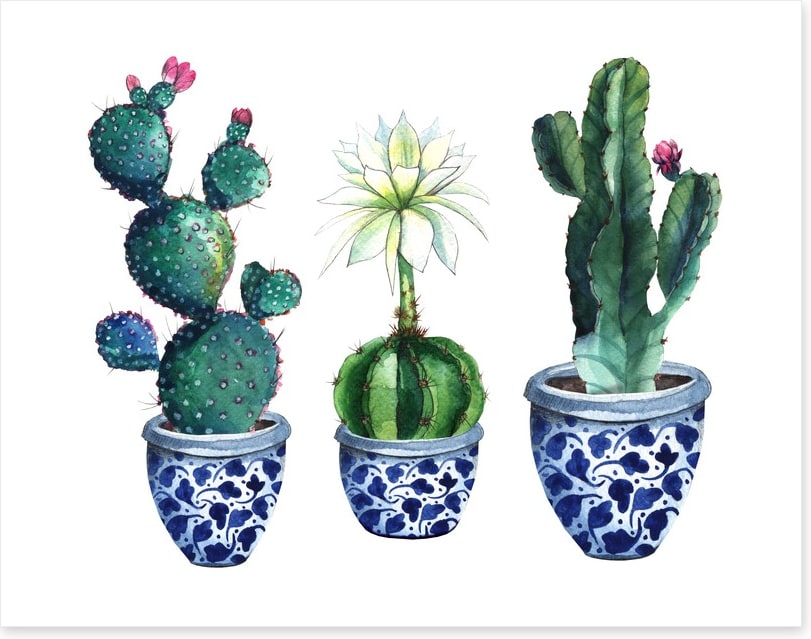 Pots of prickle