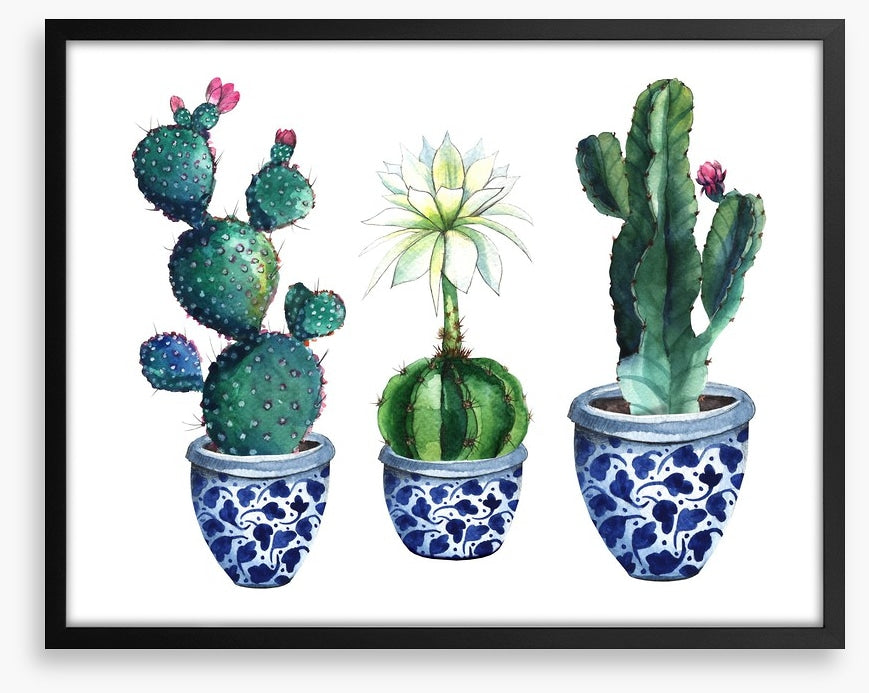 Pots of prickle