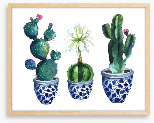 Pots of prickle