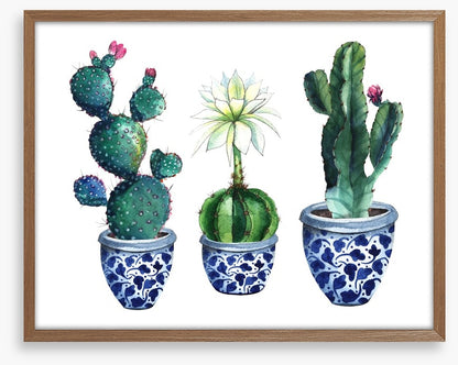 Pots of prickle