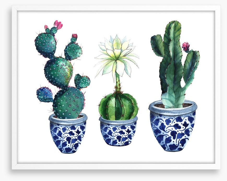 Pots of prickle