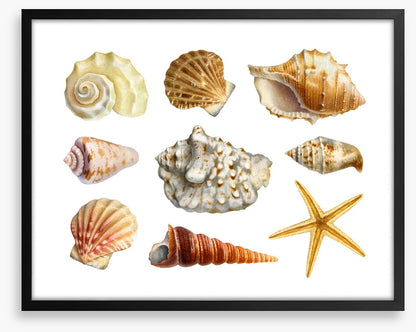 Of the sea