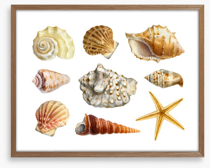 Of the sea