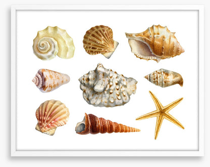 Of the sea