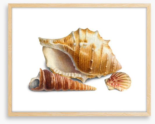 Three shells III