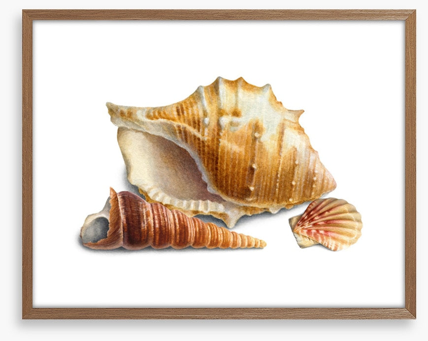 Three shells III