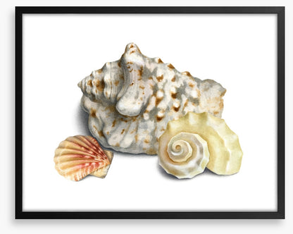 Three shells I