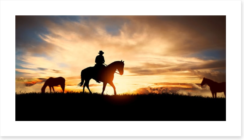 Back on the horse