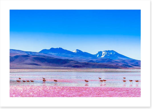 South America