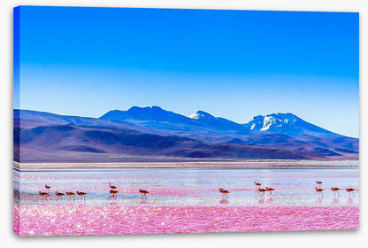 South America