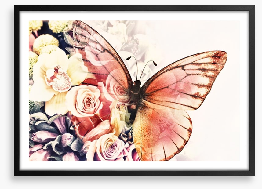 Rosy wings