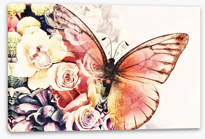 Rosy wings
