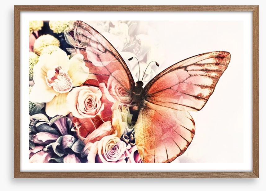 Rosy wings