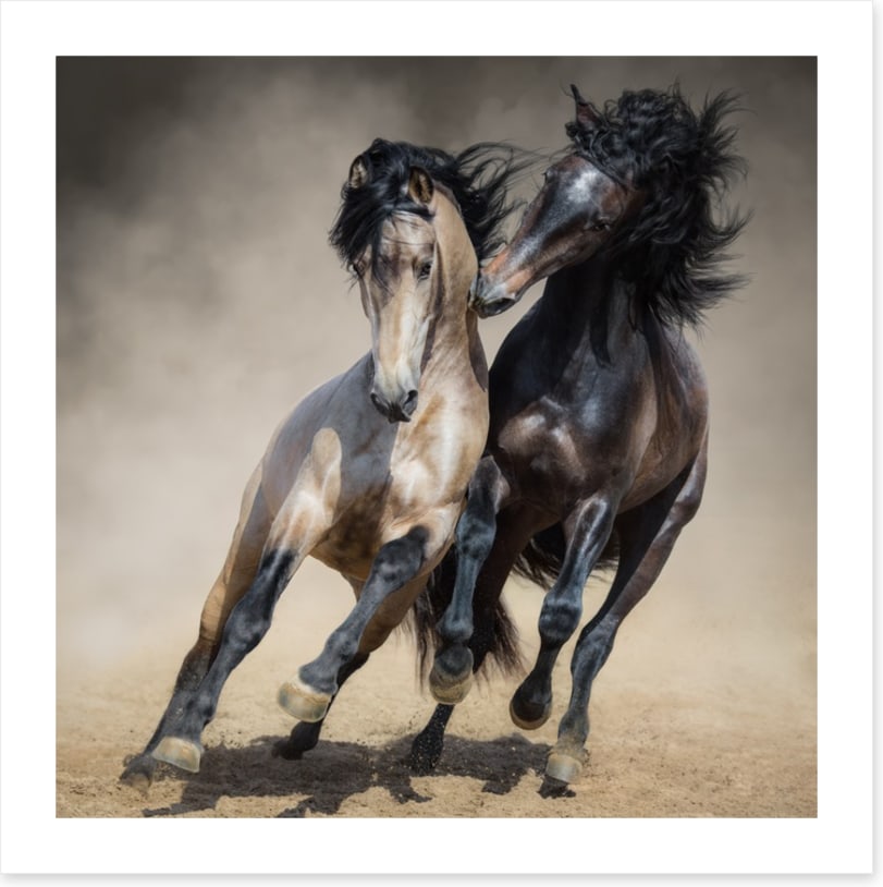 Horseplay