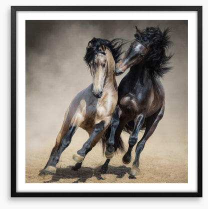 Horseplay