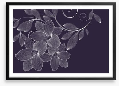 Lily flourish